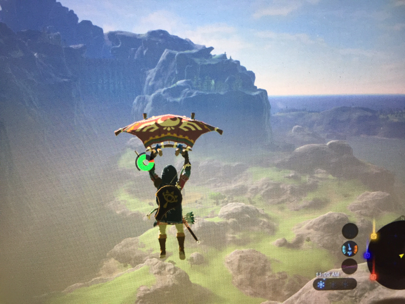 Illustration for article titled Here are Some of my Favorite Screenshots from The Legend of Zelda: Breath of the Wild